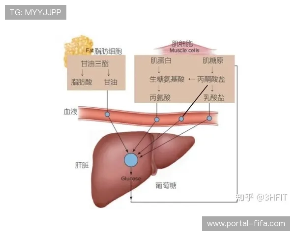 赛前糖原储备与局间电解质补充对运动表现优化的策略与应用